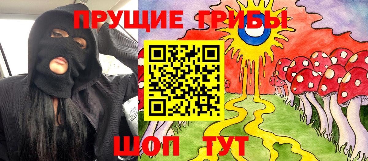 Галлюциногенные грибы Cubensis Анжеро-Судженск