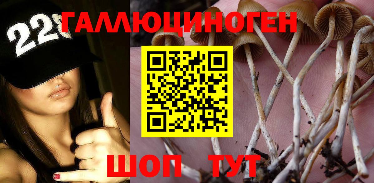 Анжеро-Судженск  Псилоцибиновые грибы прущие грибы  Вход с VPN 